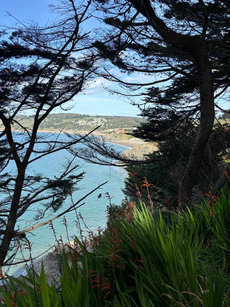 Butterlap (Presidio & Golden Gate Park) photo 34