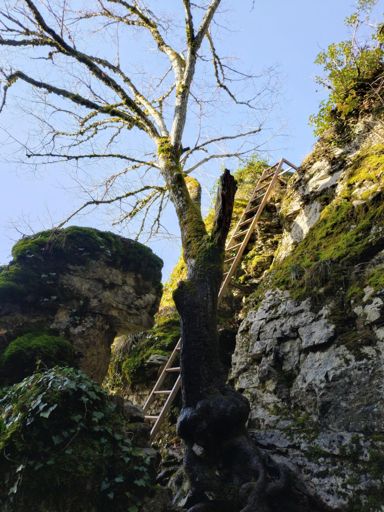 Pour sortir de la Combe d'Arvaux