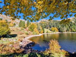 Boucle lac blanc  Hirschteine