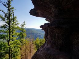 Tête de la gorge aux sangliers et Canceley