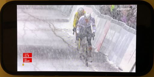 meanwhile in Mole 😍