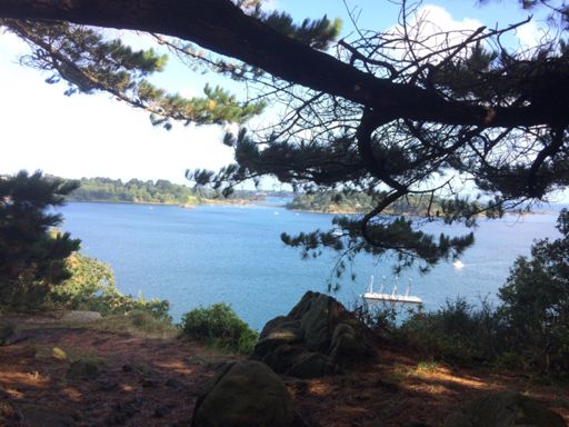 Toujours aussi belle la vue 👌🏻