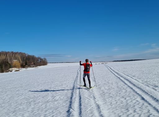 Поля вблизи Нагорного.