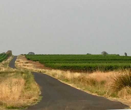 Des lignes droites de Koms 😅