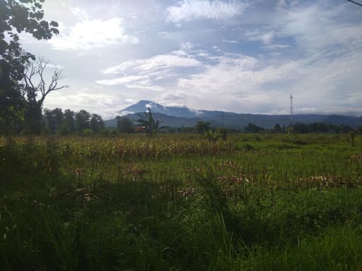 Gunung slamet seka kulon