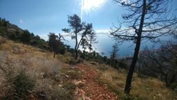 Castellar carpano... Stopped because i lost my keys