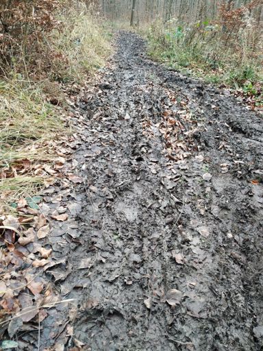Da bringt auch die spärliche ☀️ nix