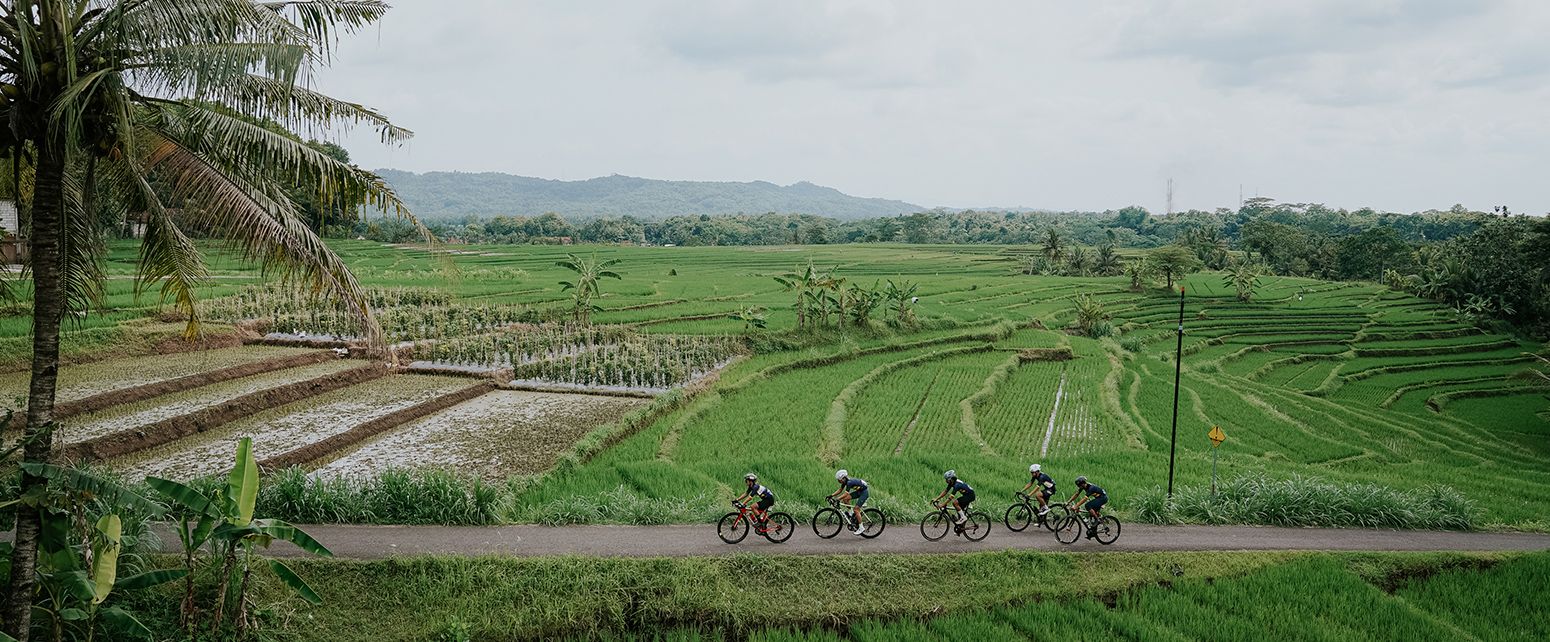 Il Festino: a race with essence