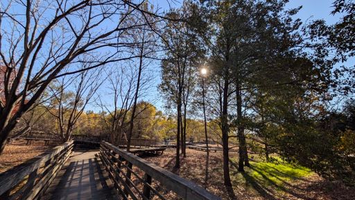 朝活ではスルーする合併記念見沼公園
前季はここでキンクロハジロを見たので期待して…