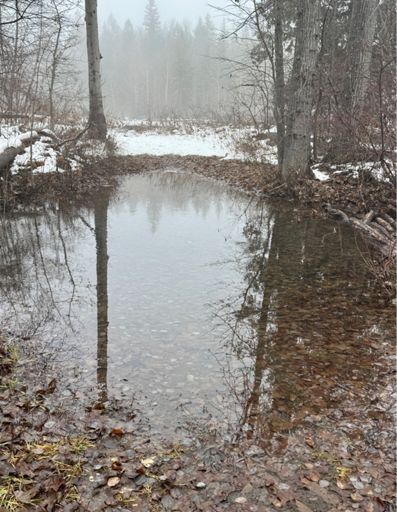 Flooding across the trail near Rattlesnake junction with River. 