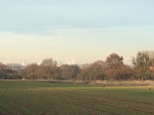 Man kann Mainhattan erahnen :)