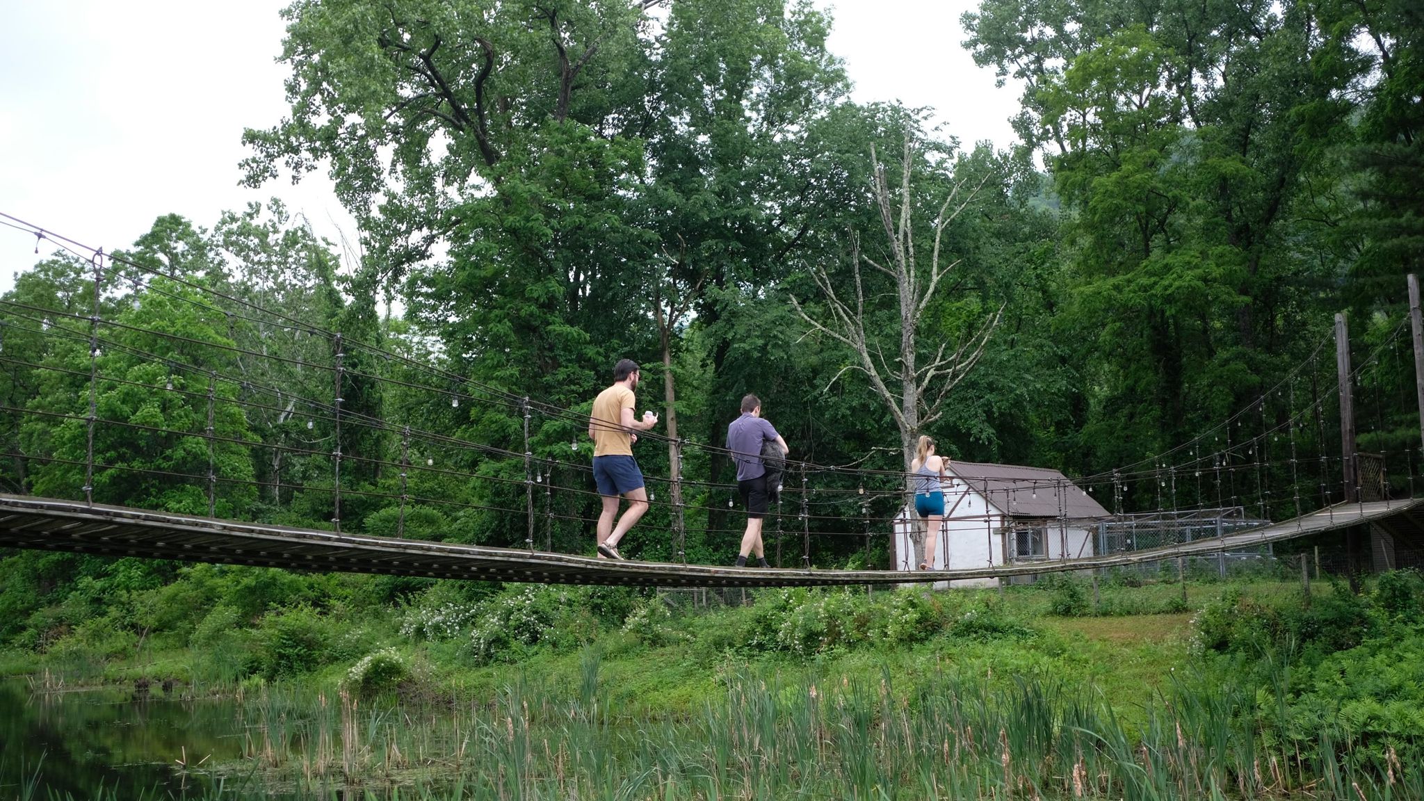 Activity photo