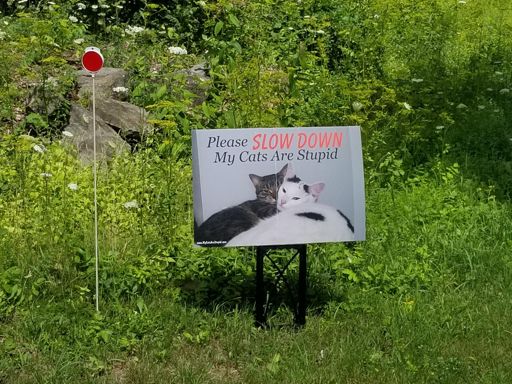 Along the road on ride today, sign of the year?