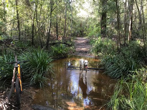 Mum says if you get her wet you have to wash her