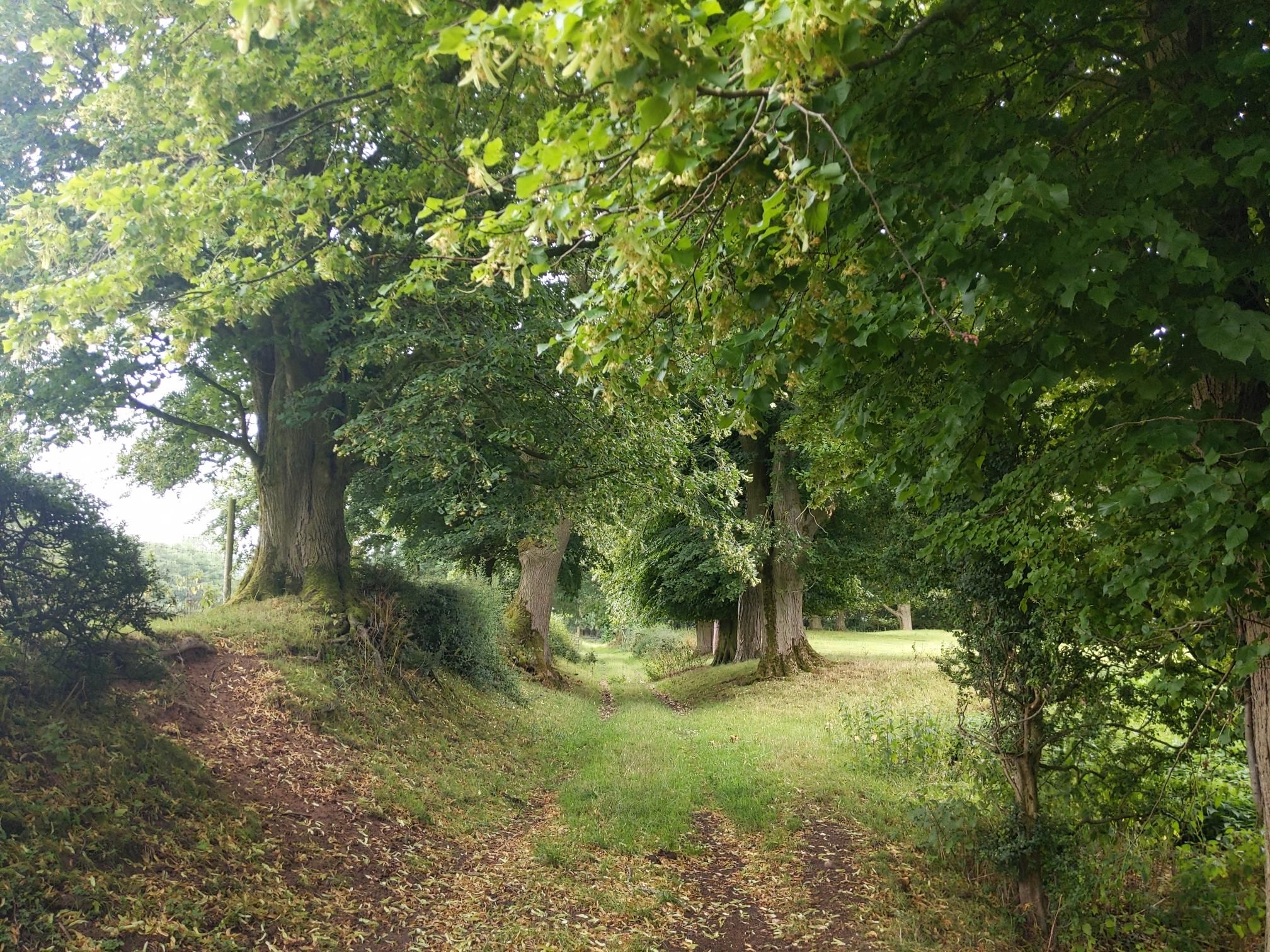 Skipton to Lands End - Day 3 photo 3