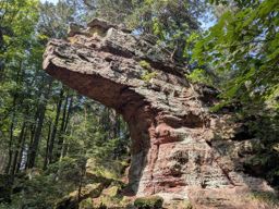 Tour Ribeauvillé Taennchel