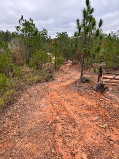 Lol, from sandy gravel to sandy dirt, thankfully enough sand to keep it from being peanut butter for the short climb up to the top.