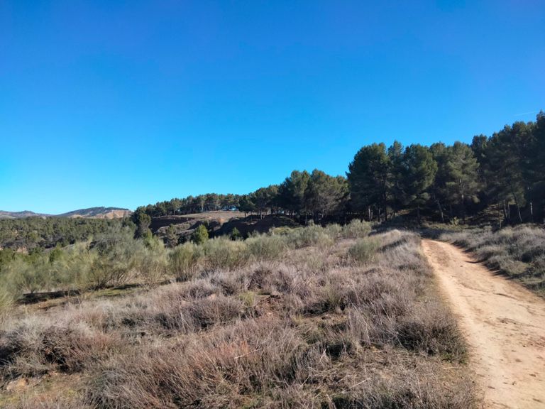 route-highlight