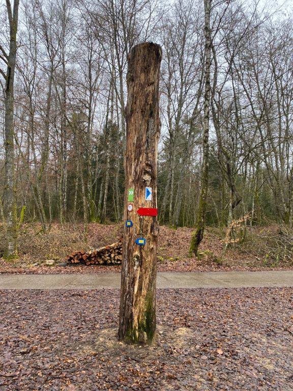 Piste cyclable de l'AttertRue d'ArlonCR 107 45.6 km Cycling Route