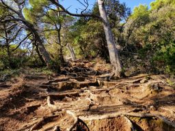 Presqu’île de Giens