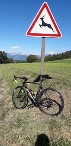 La nouvelle gazelle...