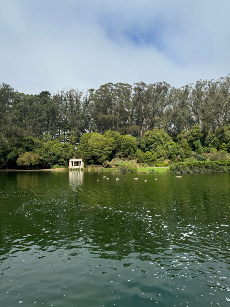 Butterlap (Presidio & Golden Gate Park) photo 170