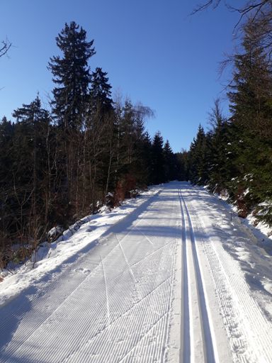 Polohu této fotky na mapě Strava určitě neumí, protože mobil je šmejd. KamZaSnehem.cz to ale umět bude :-)