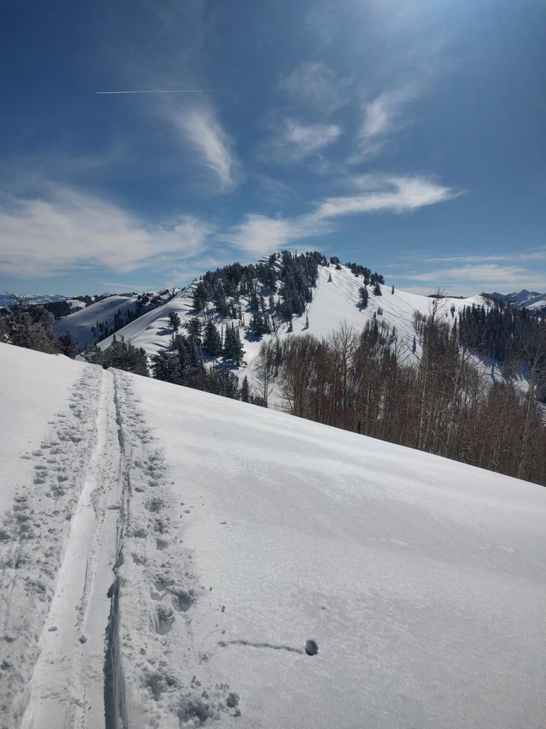 Double-click to expand Backcountry Tour | Big Cottonwood Canyon — photo 1