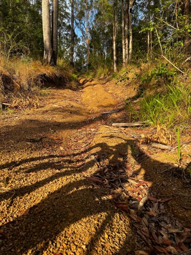 Looks like nothing but it was frigging steep and loose