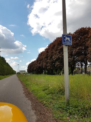 Blijf het een vreemde en gevaarlijke combi vinden: een (snel)fietspad dat ook honden losloopgebied is