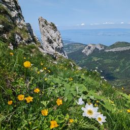 Dent et Roc d’Oche