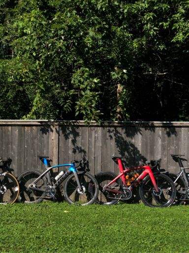 The Madone Couple 🥵😳🥰