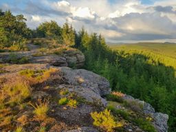 Lamproy, Grand Rougimont, Grand retour