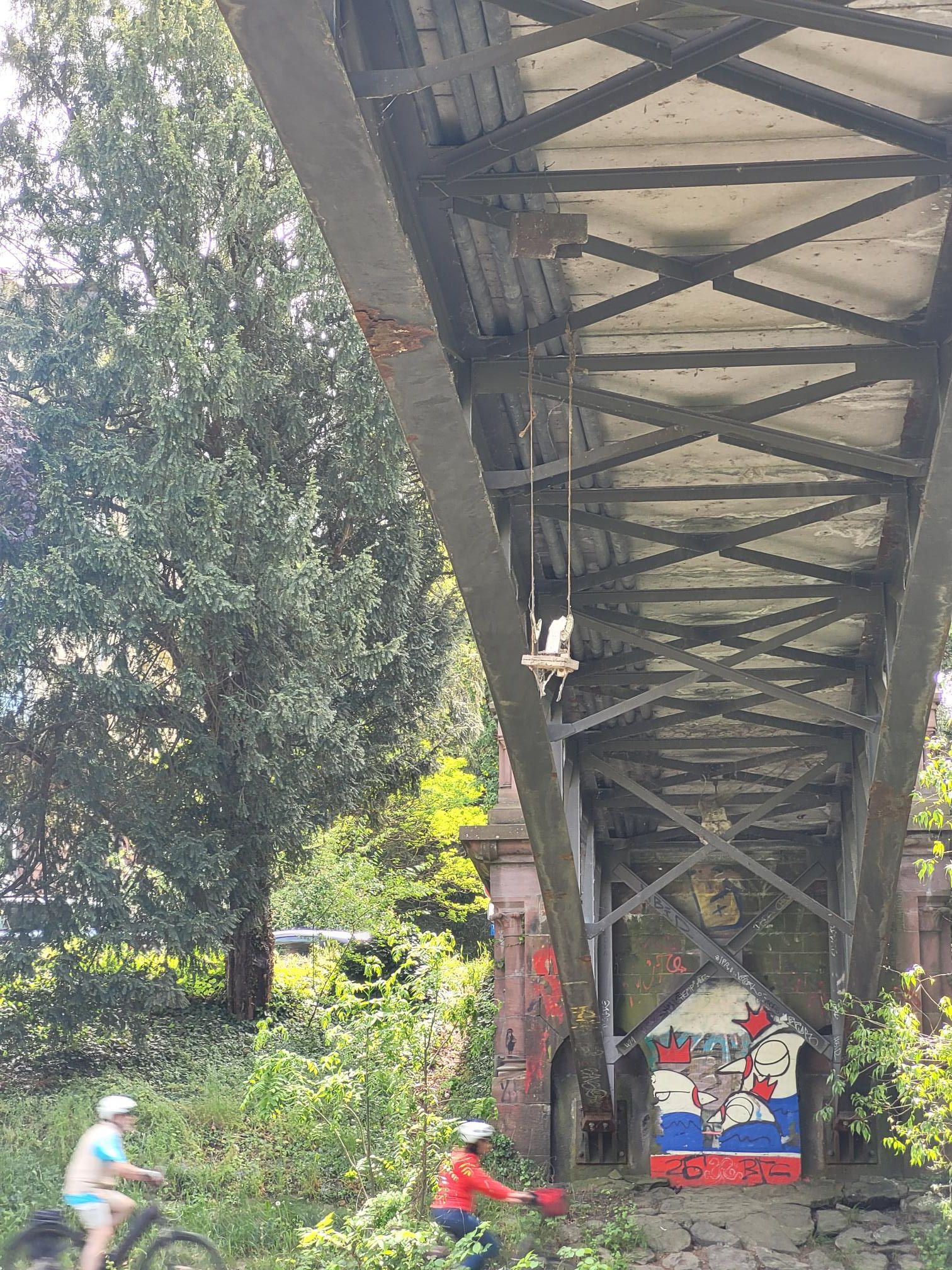 Activity photo