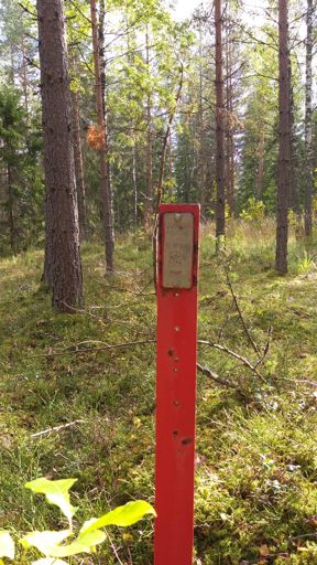 🇺🇲-🇷🇺 kuuma linja🤔