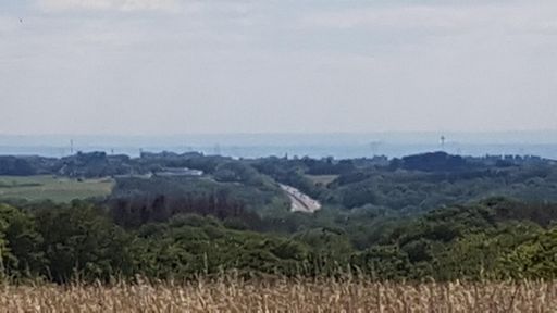 Suchbild: Kölner Dom