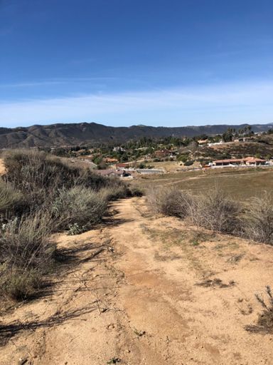 Road bikes are the new “old” mountain bikes. No suspension... just like when I was a kid.