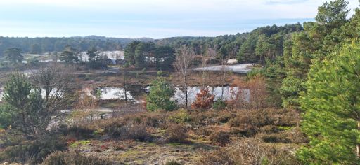 De rode beek op hoogte genomen.
