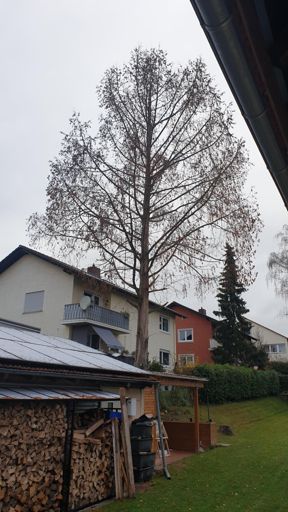 Mainz_ID24906_UM_Effenspitze 3