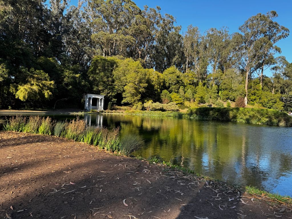 Butterlap (Presidio & Golden Gate Park) photo 81