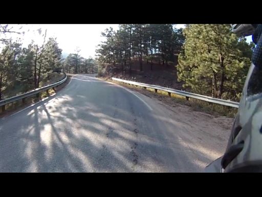 The vegetation is changing.