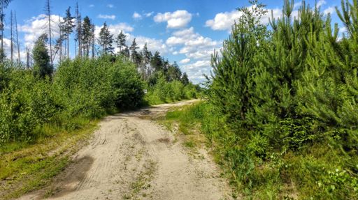 протяженный грунтовый участок в Аборино