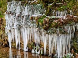 Course à pied le midi