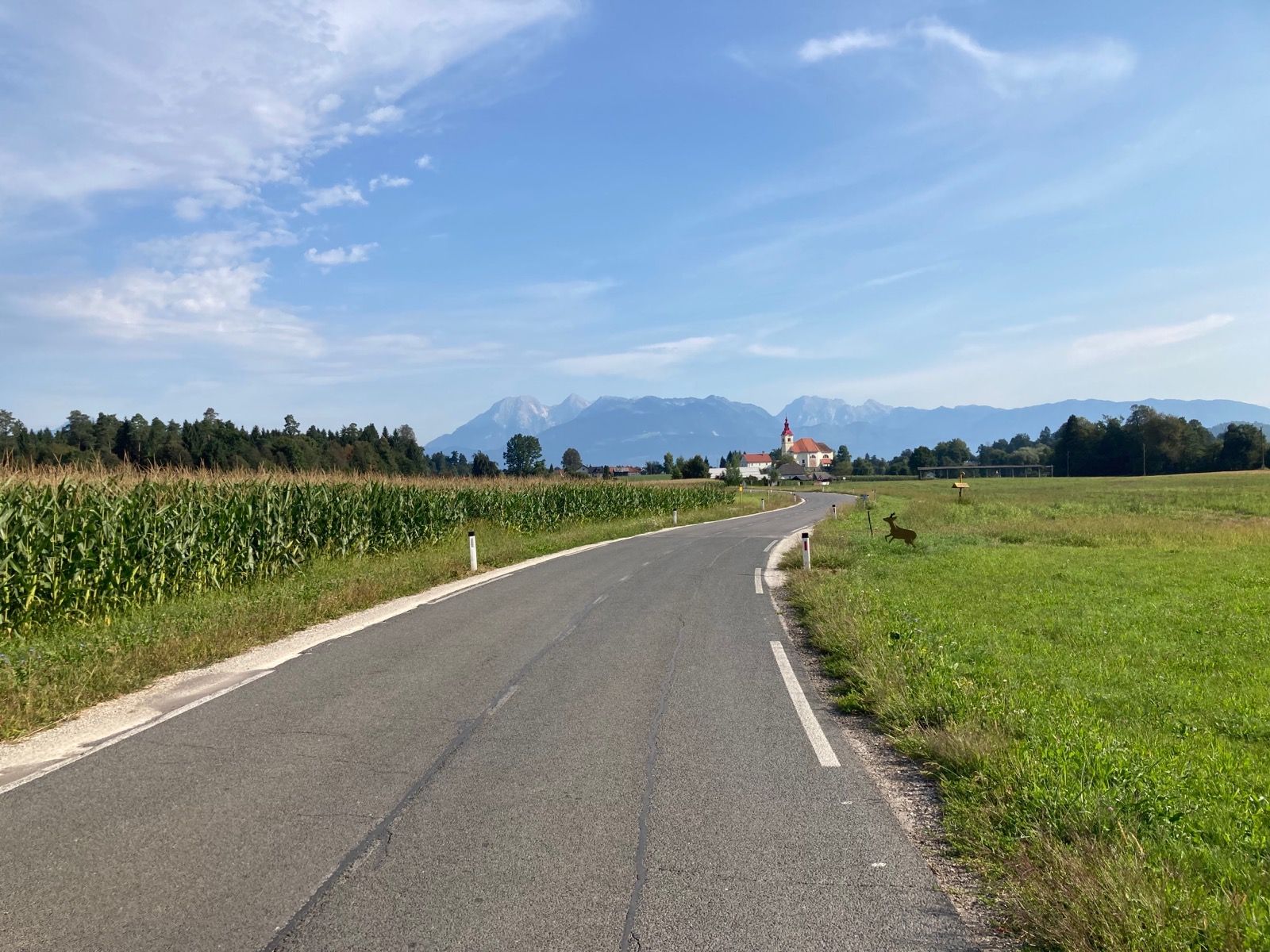 Ride Image 10