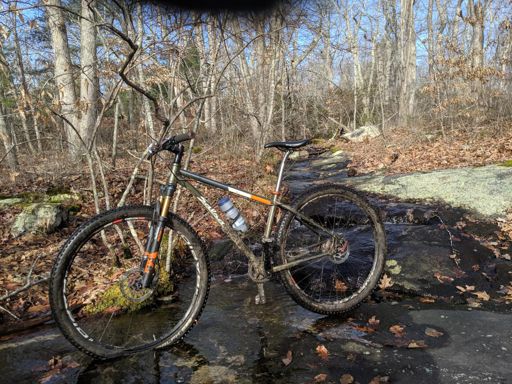 Eats sticks like M&Ms