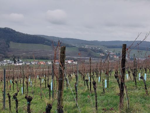 View over Schengen-LUX.