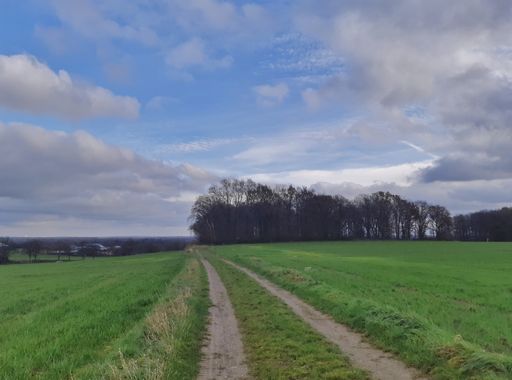 Uitzicht vanaf de Nilkenberg