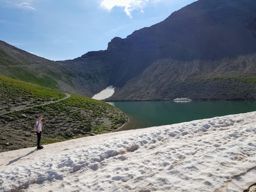 Rando fleurie autour du lac d’Allos