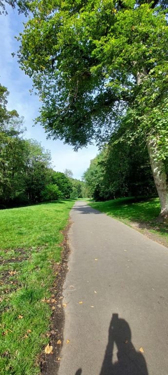 Beautiful surface of the Kelvin Walkway