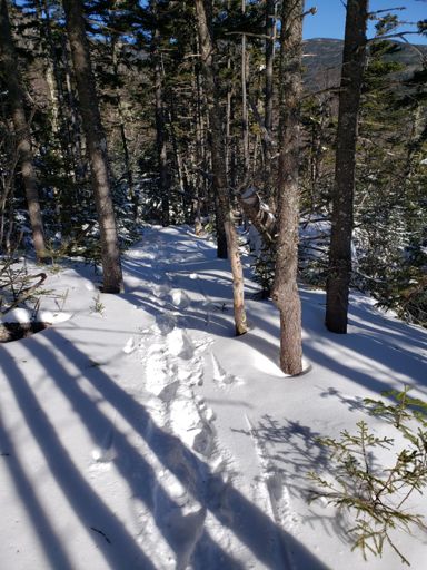 Rocky Branch...just my tracks...oof.